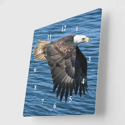 野生動物のハゲ・イーグルの写真 スクエア壁時計 (傾斜)
