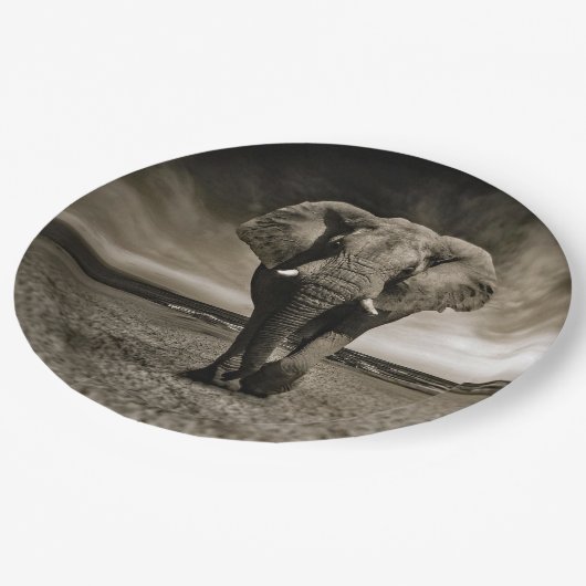 野生動物のブルゾウの写真 ペーパープレート (アングル)