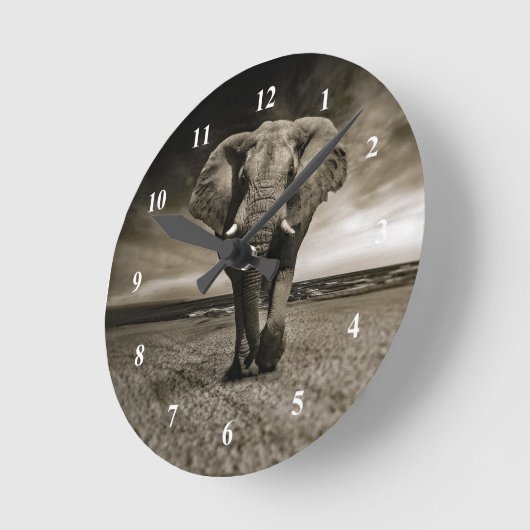 野生動物のブルゾウの写真 ラウンド壁時計 (傾斜)