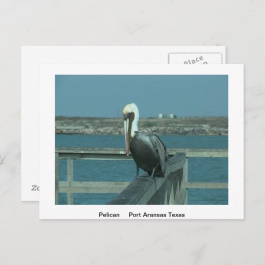 野生動物のポストカード ポストカード (正面/裏面)