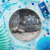 野生動物の亀の爬虫類写真 ペーパープレート (パーティー)