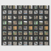 野生動物の写真のギフト用包装紙 ラッピングペーパー (フラット)