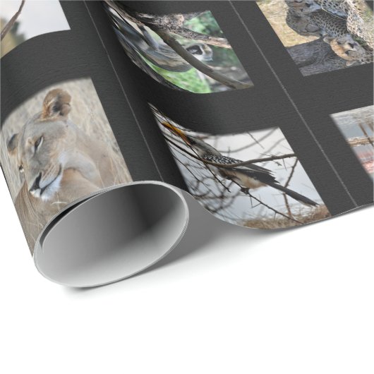 野生動物の写真のギフト用包装紙 ラッピングペーパー (ロールコーナー)