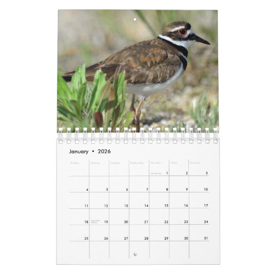 野生動物の写真を特集したワイルドカレンダー カレンダー (1月 2026)