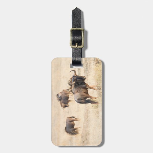 野生動物の写真アフリカサファリ ラゲッジタグ (正面縦)