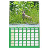 野生動物の写真カレンダー カレンダー (3月 2027)