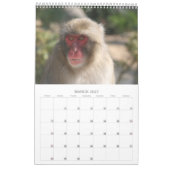 野生動物の写真 カレンダー (3月 2027)