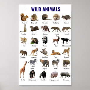 野生動物の教育 ポスター