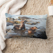 野生動物の枕,カリフォルニアのアシカ,自然 ランバークッション (ブランケット)