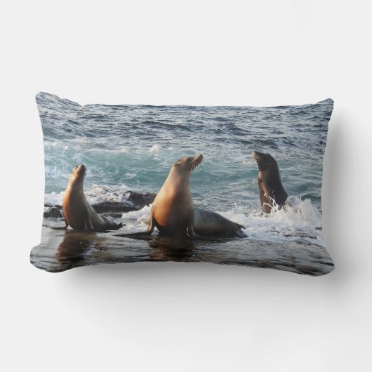 野生動物の枕,カリフォルニアのアシカ,自然 ランバークッション (正面)