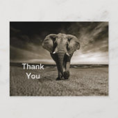 野生動物の牛の象の写真ありがとう ポストカード (正面)