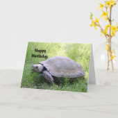 野生動物の茶色の亀の写真誕生日 カード (黄色い花)