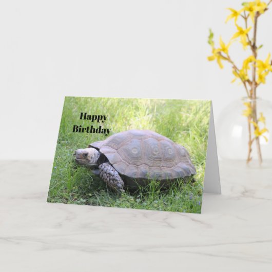 野生動物の茶色の亀の写真誕生日 カード (黄色い花)