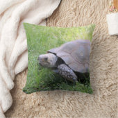 野生動物の茶色の亀の写真 クッション (ブランケット)