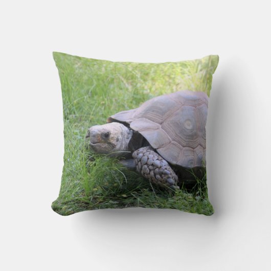 野生動物の茶色の亀の写真 クッション (正面)