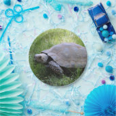 野生動物の茶色の亀の写真 ペーパープレート (パーティー)