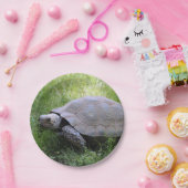 野生動物の茶色の亀の写真 ペーパープレート (パーティー)