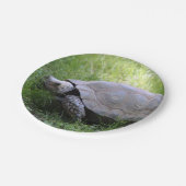 野生動物の茶色の亀の写真 ペーパープレート (アングル)