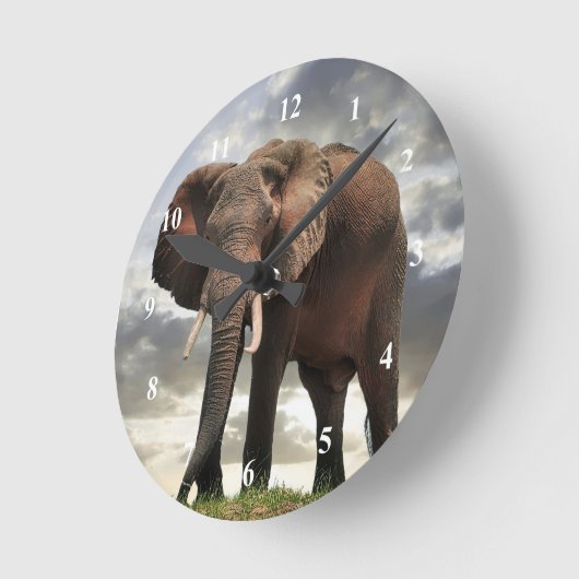 野生動物の象の写真 ラウンド壁時計 (傾斜)
