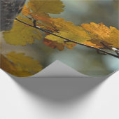 野生動物の赤いオオタカ秋の写真 ラッピングペーパー (角)