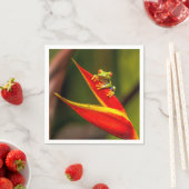 野生動物の赤い目のツリーカエルの写真 スタンダードカクテルナプキン (インサイチュ)