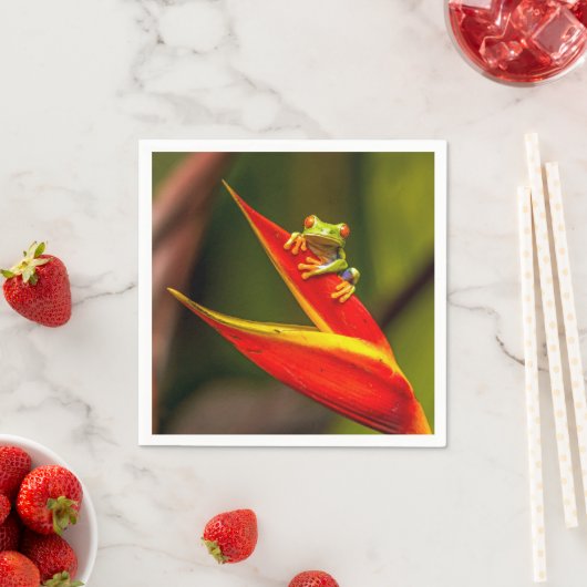 野生動物の赤い目のツリーカエルの写真 スタンダードカクテルナプキン (インサイチュ)