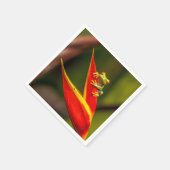 野生動物の赤い目のツリーカエルの写真 スタンダードカクテルナプキン (角)