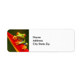 野生動物の赤い目のツリーカエルの写真 ラベル (正面)