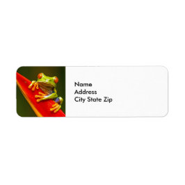 野生動物の赤い目のツリーカエルの写真 ラベル