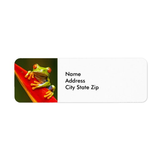 野生動物の赤い目のツリーカエルの写真 ラベル (正面)