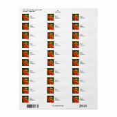 野生動物の赤い目のツリーカエルの写真 ラベル (フルシート)