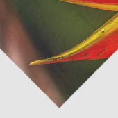 野生動物の赤い目のツリーカエルの写真 薄葉紙 (詳細)