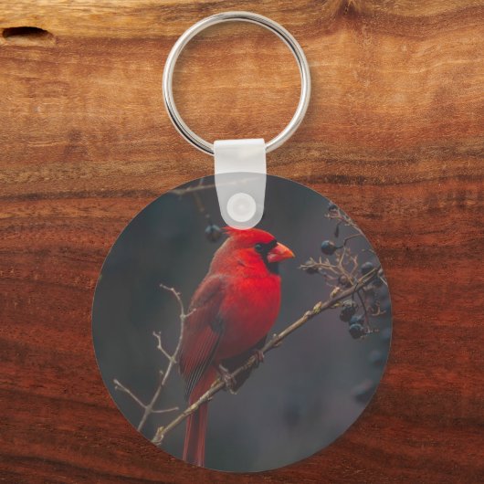 野生動物の赤い(鳥)ショウジョウコウカンチョウ写真 キーホルダー (正面)