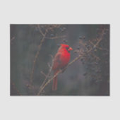 野生動物の赤い(鳥)ショウジョウコウカンチョウ写真 薄葉紙 (正面)