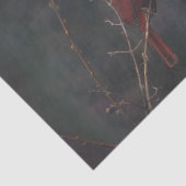 野生動物の赤い(鳥)ショウジョウコウカンチョウ写真 薄葉紙 (詳細)