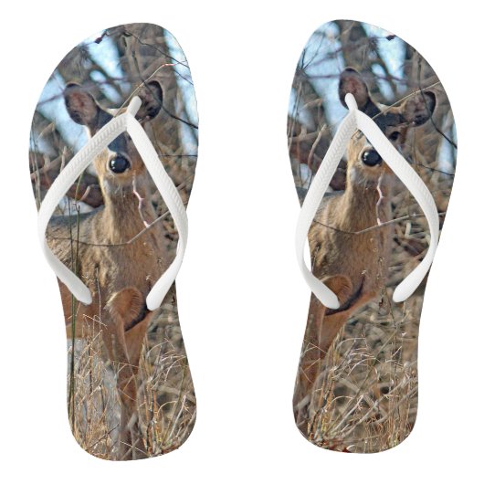 野生動物の鹿の森の写真 ビーチサンダル (ソール)