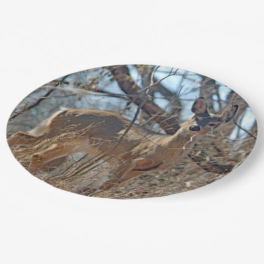 野生動物の鹿の森の写真 ペーパープレート (アングル)