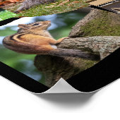 野生動物を愛するかわいい動物 ポスター (角)