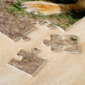 野生動物アフリカのライオンの座像写真 ジグソーパズル (側面)