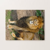 野生動物アフリカのライオンの座像写真 ジグソーパズル (横)