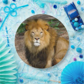 野生動物アフリカライオンの座っている写真 ペーパープレート (パーティー)