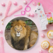 野生動物アフリカライオンの座っている写真 ペーパープレート (パーティー)