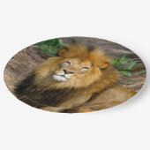 野生動物アフリカライオンの座っている写真 ペーパープレート (アングル)