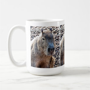 野生動物カピバラ コーヒーマグカップ