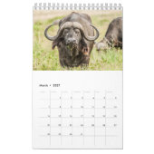 野生動物カレンダー2021 カレンダー (3月 2027)