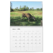 野生動物カレンダー カレンダー (3月 2026)