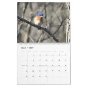 野生動物カレンダー、歌鳥、野生の鳥 カレンダー (3月 2027)