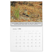 野生動物カレンダー、野生動物、チムンクの可愛さ カレンダー (1月 2026)
