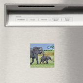 野生動物ゾウの子牛の写真 マグネット (インサイチュ (食洗機))