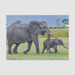 野生動物ゾウの子牛の写真 薄葉紙